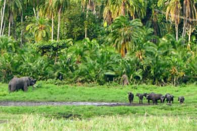 Addis Ababa – Chebera Cherchura National Park 4-Day