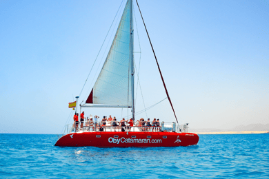 Lobos Island: 4-Hour Catamaran Trip with Lunch