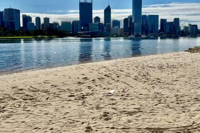 From Perth: Full-Day Guided Sightseeing Tour