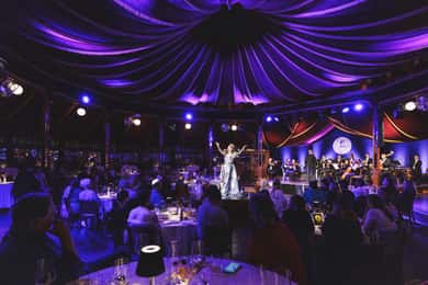 Johann Strauss Dinner Show at the Prater