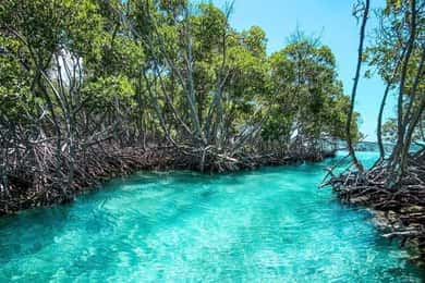 Playa del Carmen: Explora la Gran Isla de Sian Kaan