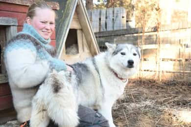 Ivalo – Saariselkä: Husky Walk in the Wilderness