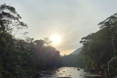Senderismo BOSQUE ATLÁNTICO CON CASCADAS - LA VÍA DEL ORO
