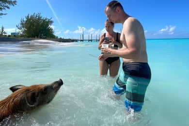 Rose Island : plongée avec tuba, cochons nageurs et punch au rhum à volonté