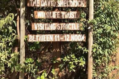 Explore Kenya's history & wildlife! Join me on a journey.