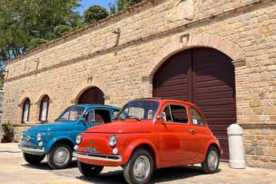 Marche: Tour in vintage Fiat 500 around Verdicchio hills