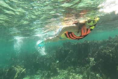 Puerto Morelos : Visite guidée de plongée avec masque et tuba avec matériel et frais d'inscription