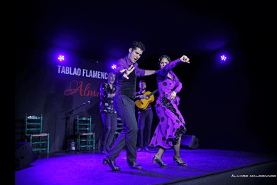 Palma: Flamenco Show at Tablao Flamenco Alma with Drink