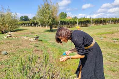 Lazise : Visite de la ferme apicole et dégustation