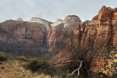 Small Group Tour Zion Bryce Canyon National from Las Vegas