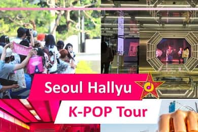 Excursion d'une journée pour les fans de K-pop au départ de Séoul