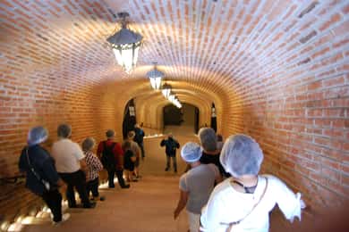 Santiago de Querétaro: Ruta del Queso y el Vino de los Pueblos Mágicos