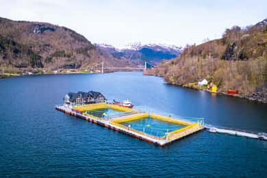 Hardangerfjord: tour guiado por una granja de salmones