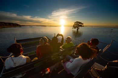Kissimmee: Boggy Creek Sunset Airboat-tur
