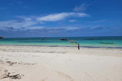 Private Tour: Snorkeling trip at Blue Lagoon with Starfish