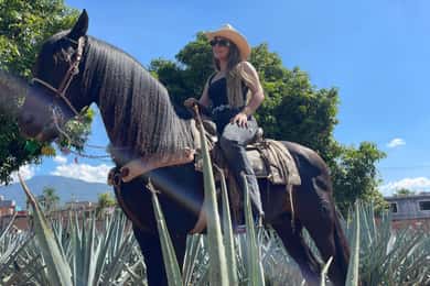 Fra Guadalajara: Tequila-byen og Cantaritos El Guero