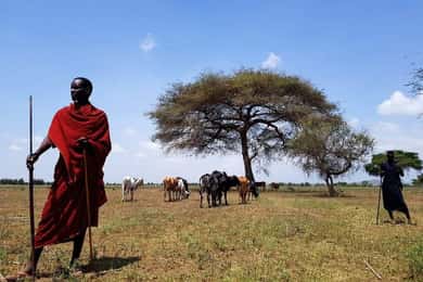 MASAI VILLAGE CULTURAL EXPRIENCE DAY TOUR.