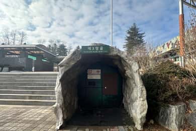 Seoul: DMZ, 3rd Tunnel, Odusan or Suspension Private Tour