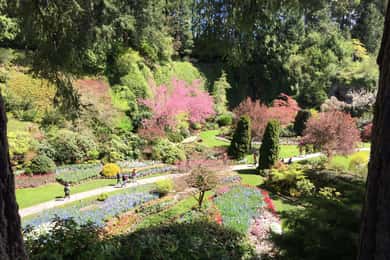 Butchart & Beyond: The Grand Victoria Tour