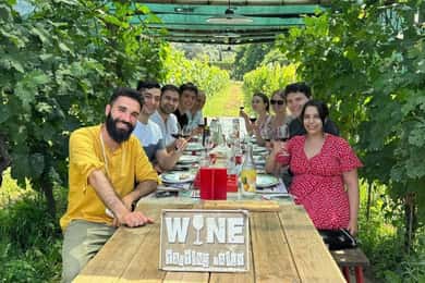 Tasting in a Tuscan Vineyard with transfer from Lucca