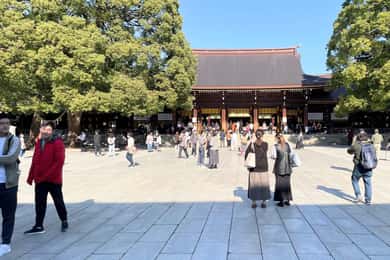 Tokio: Recorrido por Meiji Jingu, Harajuku, Shibuya y Shijuku