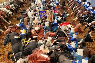 Civil War Tails Diorama Museum: admission ticket
