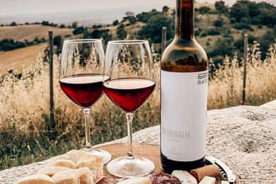 La Maliosa Farm Experience & Wine Tasting