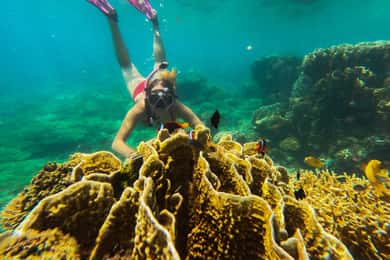 Private Snorkeling Gili Gede, GIli Asahan, Gili Goleng Tour