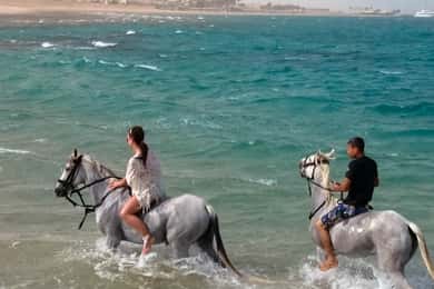 El Gouna: Desert & Sea Horse Riding With Swimming Optional