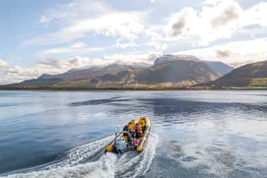 Fort William: 1h Loch Safari Speedboat Tour