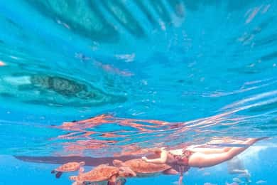 De Mindelo: Mergulhe com snorkel e nade com tartarugas marinhas