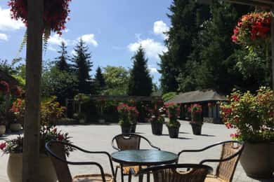 Vancouver: Butchart Gardens and Victoria City Tour