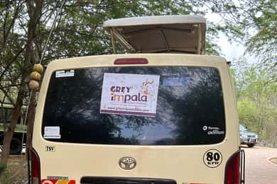 Day trip safari to Tsavo East National Park from Mombasa