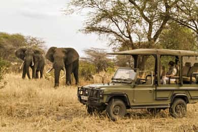 Durban: Natal Lion Park and Phezulu Safari Park Tour