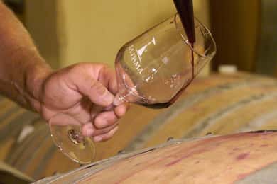 VERONA: WINE TASTING FOR THOSE WHO LOVE COMPARISONS