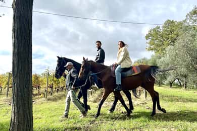 Ausritt durch die Weinberge von Montepulciano