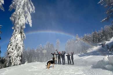 Ehrwald: Zugspitze Caminhada com raquetes de neve com vista para as montanhas