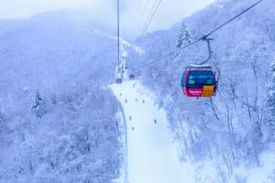 From Seoul: Balwangsan Cable Car and Daegwallyeong Ranch