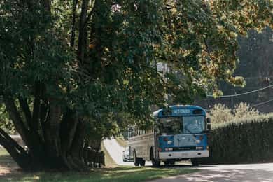 Victoria a Nanaimo: transporte com atividades incluídas