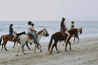 Ensenada: Passeio a cavalo na praia