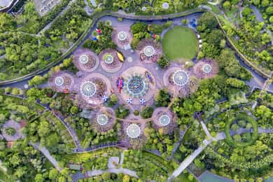 Singapour : Gardens by the Bay : visite guidée accessible