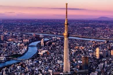 Tokyo Private Customize Tour With English Speaking Driver