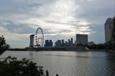 Singapur: tour en bicicleta y a pie por las maravillas modernas