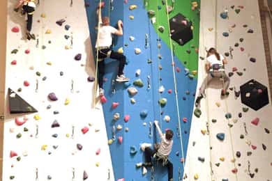 Donja Stubica: Sport Climbing Lesson on Artificial Rock