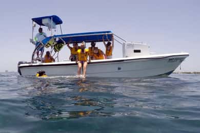 Z Cancun: Snorkeling z żółwiami