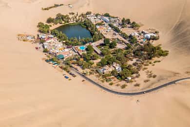 From Lima: Ballestas Islands and Huacachina Oasis Day Trip