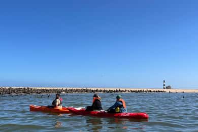 Walvis Bay: Kajakken en Sandwich Harbour Dagvullende tour