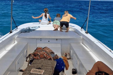 Syracuse: Picnic boat tour of Pillirina, Ortigia & sea caves