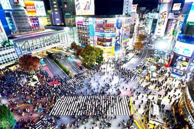 Tokyo: Full-Day Private Custmizable Tour with English Driver