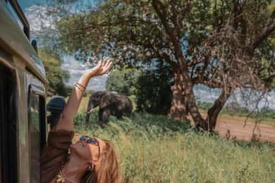 Arusha: 3-Day Serengeti & Ngorongoro Crater Big Five Safari